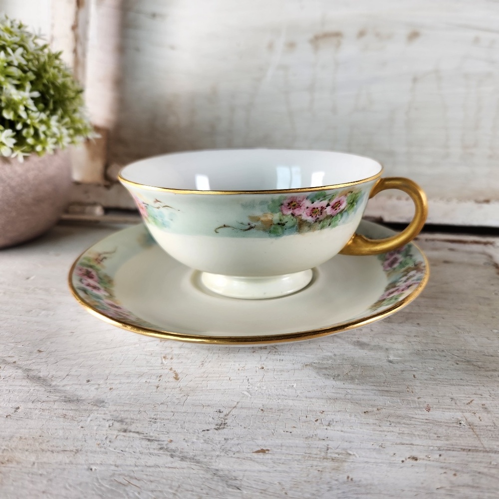 VTG Royal Bayreuth Germany Pink Rose Floral Tea Cup & Saucer- Cottage Core